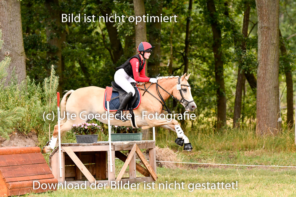 Goldene Schärpe Ponys in Hohenberg Krusemark 2024 | 13072024 Gelände 1 Abt_384 