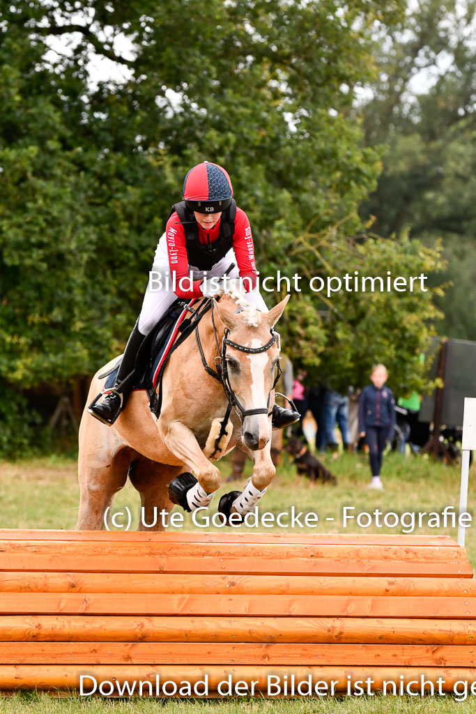 Goldene Schärpe Ponys in Hohenberg Krusemark 2024 | 13072024 Gelände 1 Abt_387 