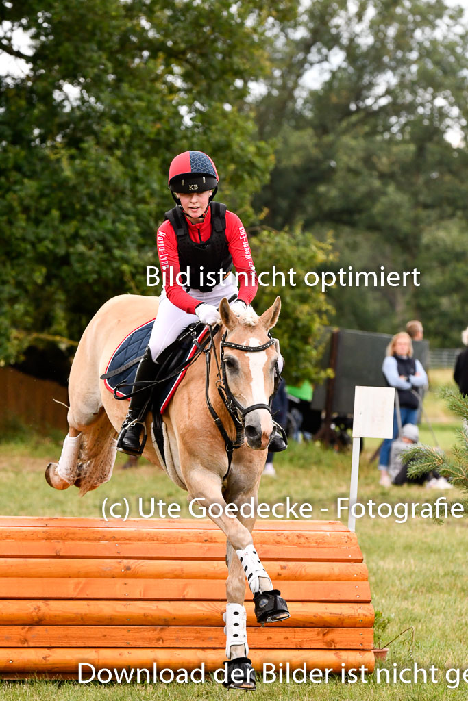 Goldene Schärpe Ponys in Hohenberg Krusemark 2024 | 13072024 Gelände 1 Abt_388 