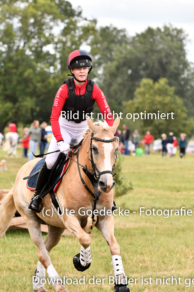 Goldene Schärpe Ponys in Hohenberg Krusemark 2024 | 13072024 Gelände 1 Abt_389