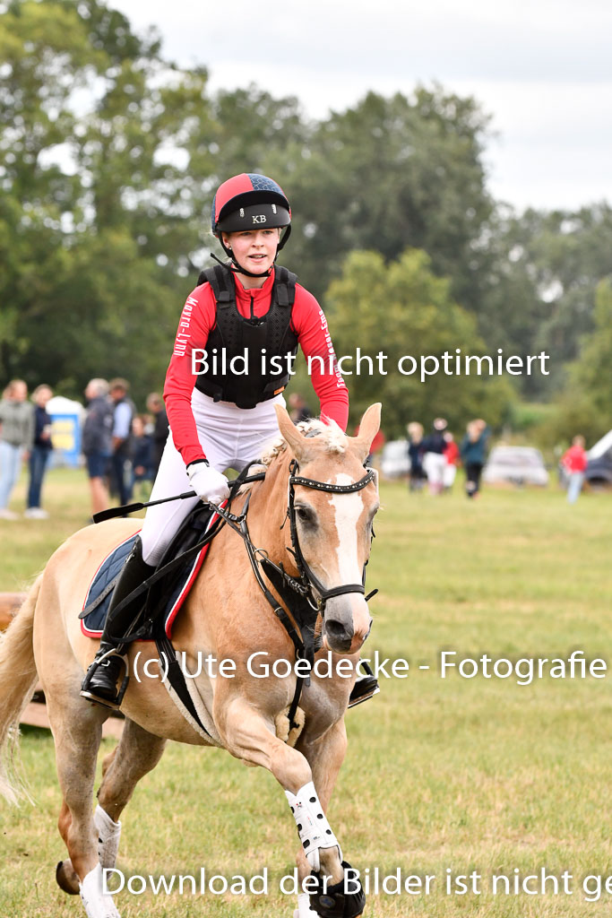 Goldene Schärpe Ponys in Hohenberg Krusemark 2024 | 13072024 Gelände 1 Abt_390
