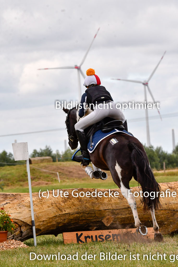 Goldene Schärpe Ponys in Hohenberg Krusemark 2024 | 13072024 Gelände 1 Abt_392