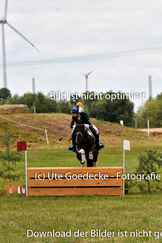 Goldene Schärpe Ponys in Hohenberg Krusemark 2024 | 13072024 Gelände 1 Abt_394 