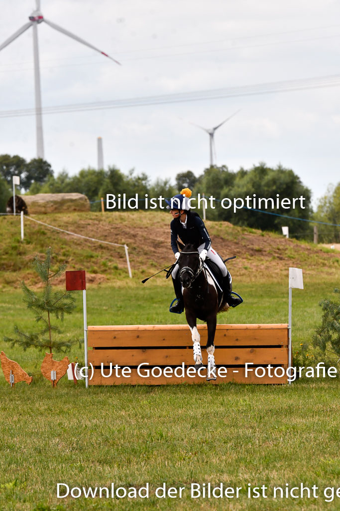 Goldene Schärpe Ponys in Hohenberg Krusemark 2024 | 13072024 Gelände 1 Abt_395
