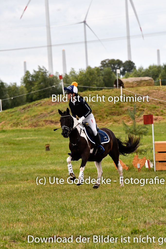 Goldene Schärpe Ponys in Hohenberg Krusemark 2024 | 13072024 Gelände 1 Abt_396 