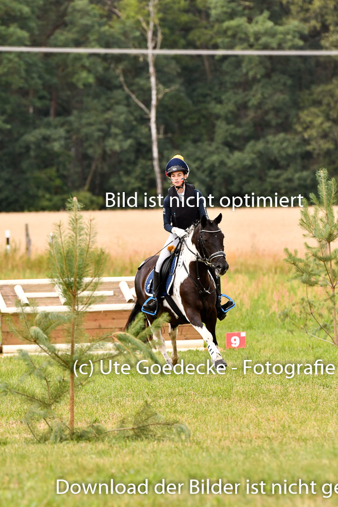 Goldene Schärpe Ponys in Hohenberg Krusemark 2024 | 13072024 Gelände 1 Abt_397