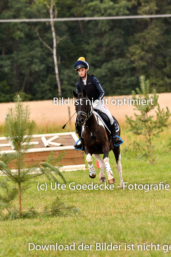 Goldene Schärpe Ponys in Hohenberg Krusemark 2024 | 13072024 Gelände 1 Abt_398