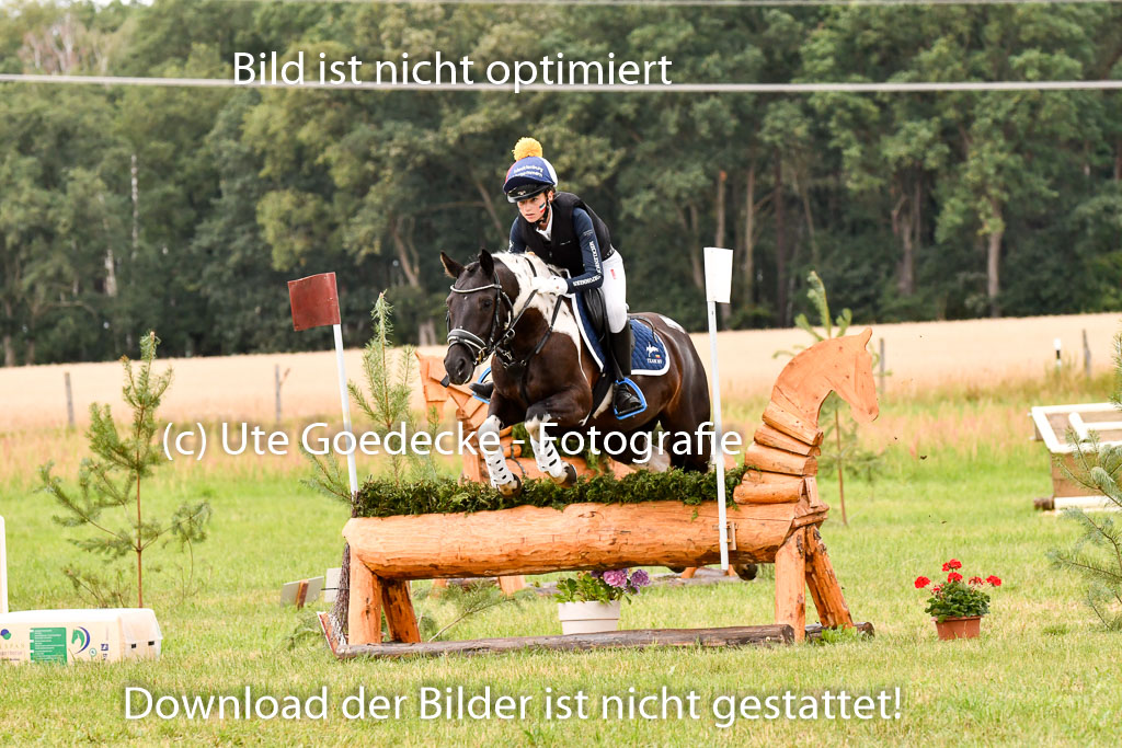 Goldene Schärpe Ponys in Hohenberg Krusemark 2024 | 13072024 Gelände 1 Abt_399 