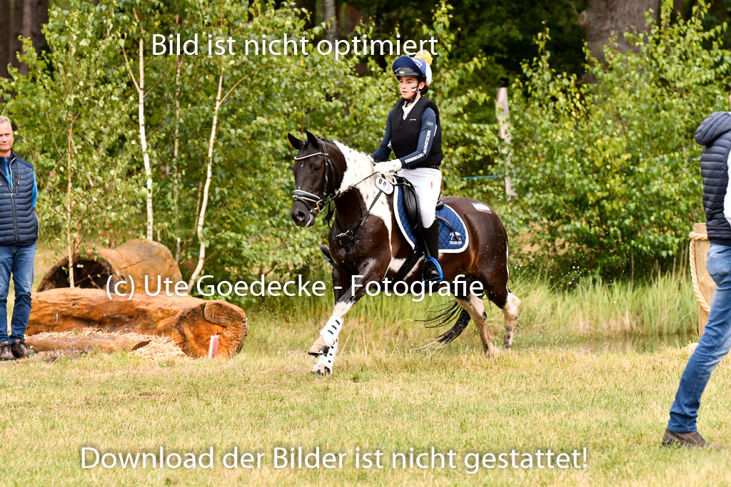 Goldene Schärpe Ponys in Hohenberg Krusemark 2024 | 13072024 Gelände 1 Abt_400 