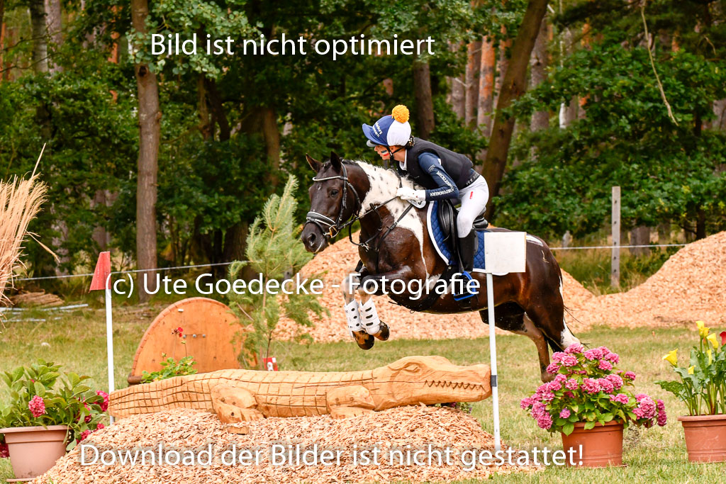 Goldene Schärpe Ponys in Hohenberg Krusemark 2024 | 13072024 Gelände 1 Abt_401 