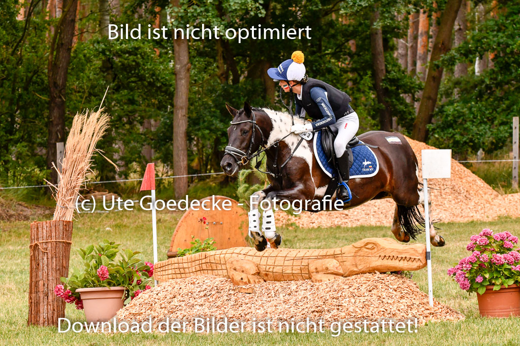 Goldene Schärpe Ponys in Hohenberg Krusemark 2024 | 13072024 Gelände 1 Abt_402 