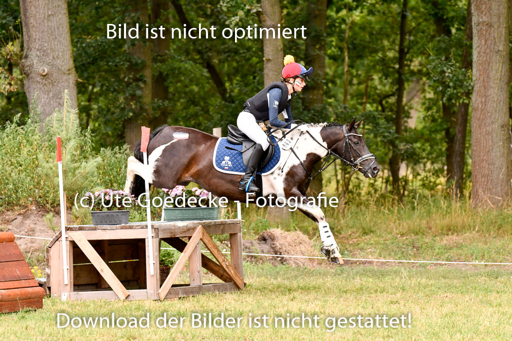 Goldene Schärpe Ponys in Hohenberg Krusemark 2024 | 13072024 Gelände 1 Abt_404 