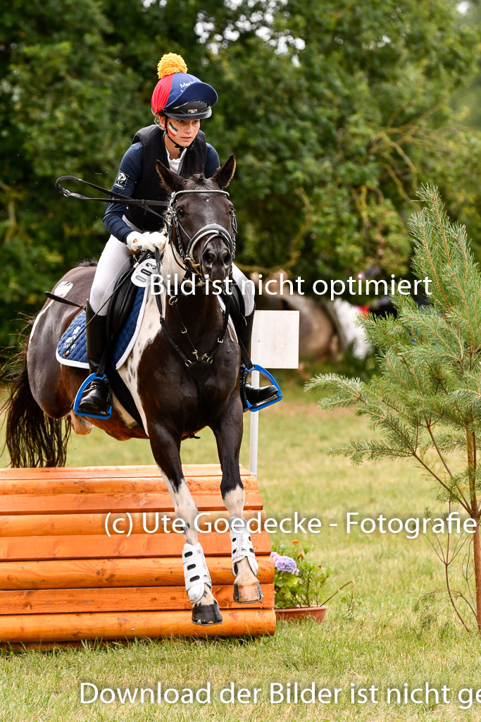 Goldene Schärpe Ponys in Hohenberg Krusemark 2024 | 13072024 Gelände 1 Abt_406 