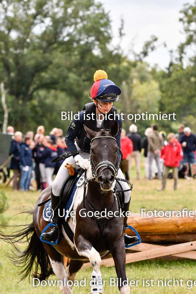 Goldene Schärpe Ponys in Hohenberg Krusemark 2024 | 13072024 Gelände 1 Abt_407 