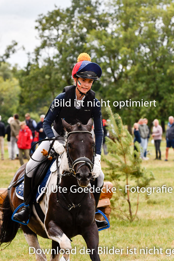 Goldene Schärpe Ponys in Hohenberg Krusemark 2024 | 13072024 Gelände 1 Abt_409 