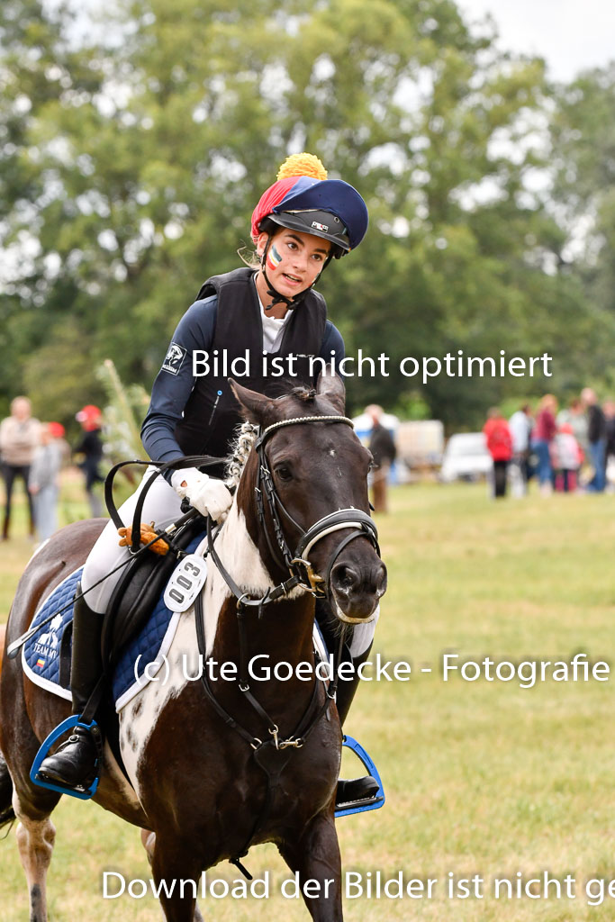 Goldene Schärpe Ponys in Hohenberg Krusemark 2024 | 13072024 Gelände 1 Abt_410 