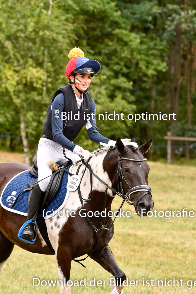 Goldene Schärpe Ponys in Hohenberg Krusemark 2024 | 13072024 Gelände 1 Abt_412 