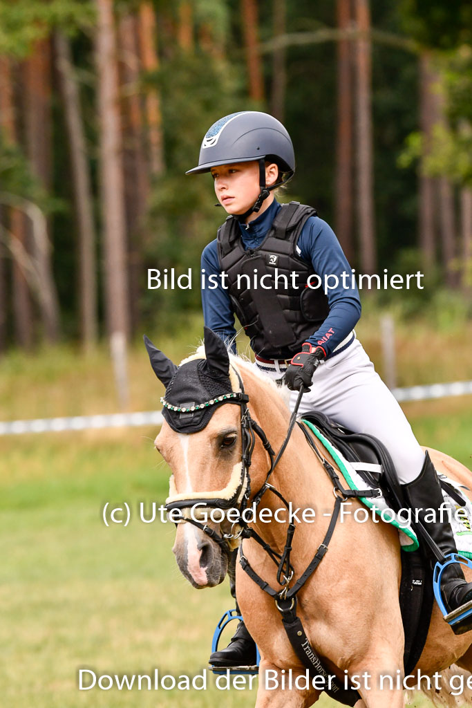 Goldene Schärpe Ponys in Hohenberg Krusemark 2024 | 13072024 Gelände 1 Abt_413 