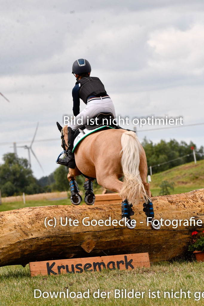 Goldene Schärpe Ponys in Hohenberg Krusemark 2024 | 13072024 Gelände 1 Abt_414