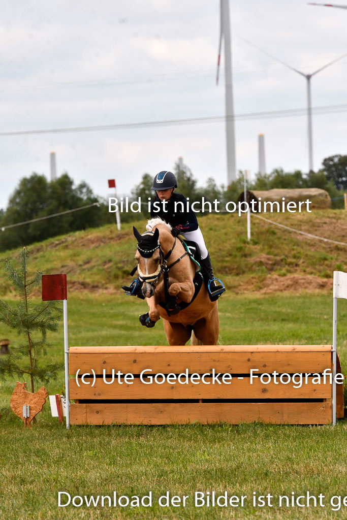 Goldene Schärpe Ponys in Hohenberg Krusemark 2024 | 13072024 Gelände 1 Abt_415 