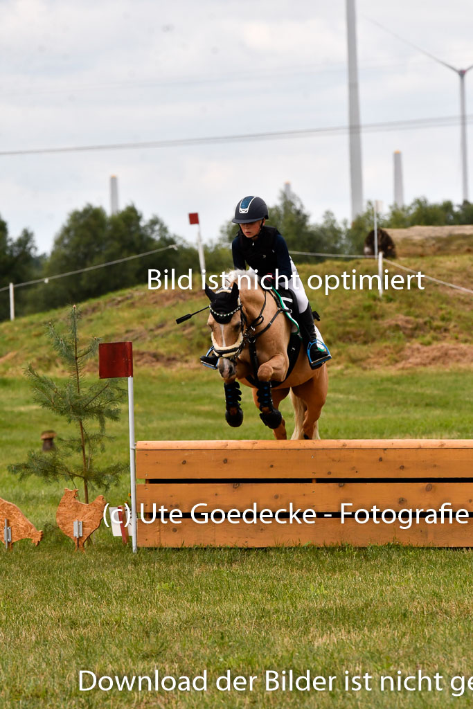 Goldene Schärpe Ponys in Hohenberg Krusemark 2024 | 13072024 Gelände 1 Abt_416 