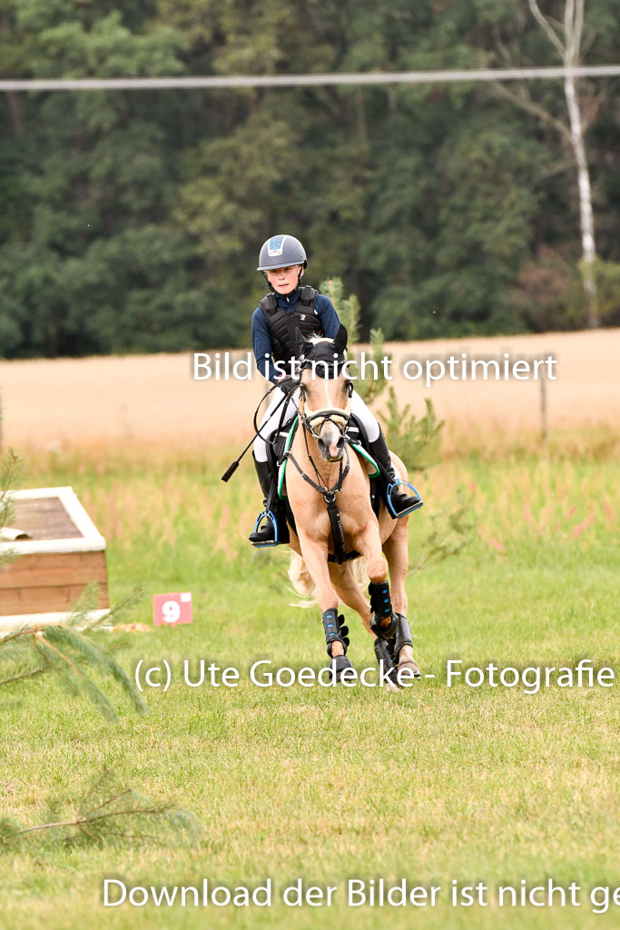 Goldene Schärpe Ponys in Hohenberg Krusemark 2024 | 13072024 Gelände 1 Abt_418 