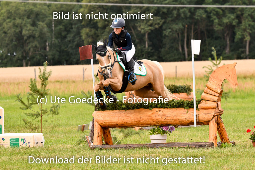 Goldene Schärpe Ponys in Hohenberg Krusemark 2024 | 13072024 Gelände 1 Abt_420 