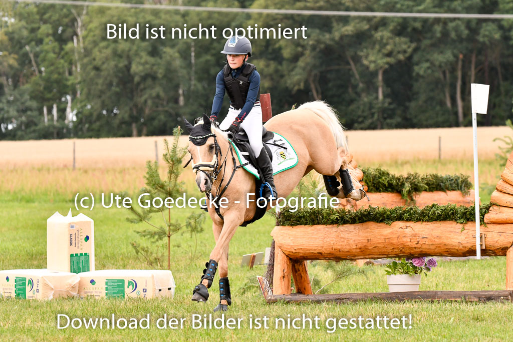 Goldene Schärpe Ponys in Hohenberg Krusemark 2024 | 13072024 Gelände 1 Abt_421 