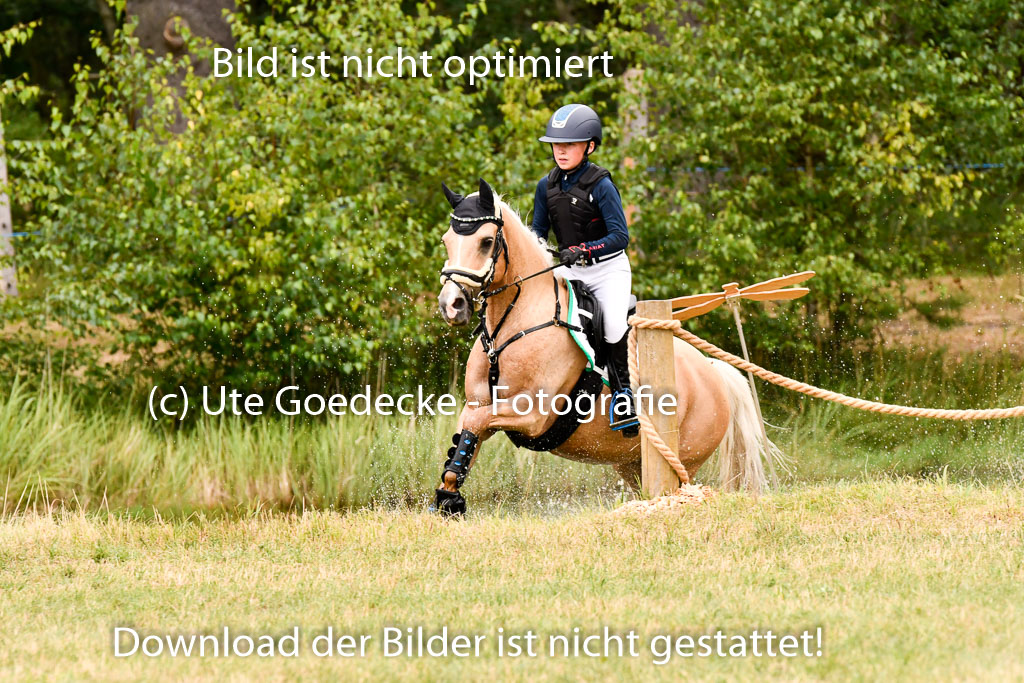 Goldene Schärpe Ponys in Hohenberg Krusemark 2024 | 13072024 Gelände 1 Abt_422 