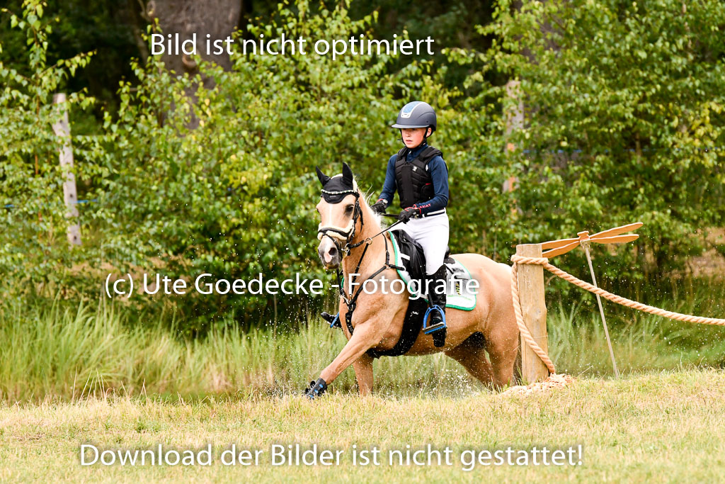 Goldene Schärpe Ponys in Hohenberg Krusemark 2024 | 13072024 Gelände 1 Abt_423 