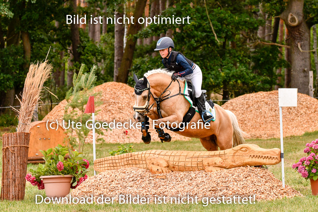 Goldene Schärpe Ponys in Hohenberg Krusemark 2024 | 13072024 Gelände 1 Abt_424 