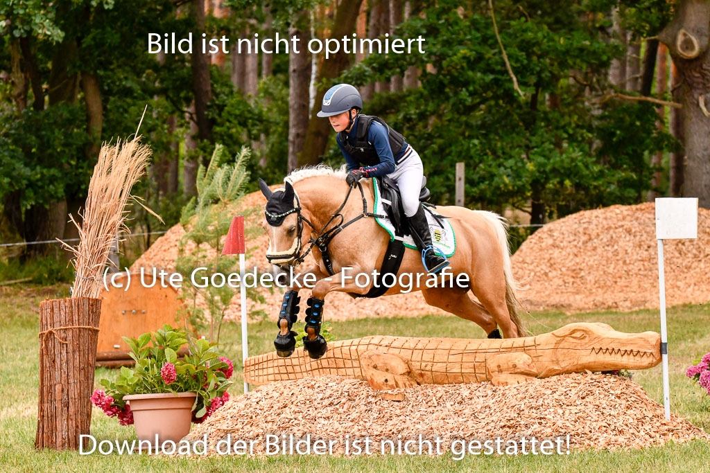 Goldene Schärpe Ponys in Hohenberg Krusemark 2024 | 13072024 Gelände 1 Abt_425 