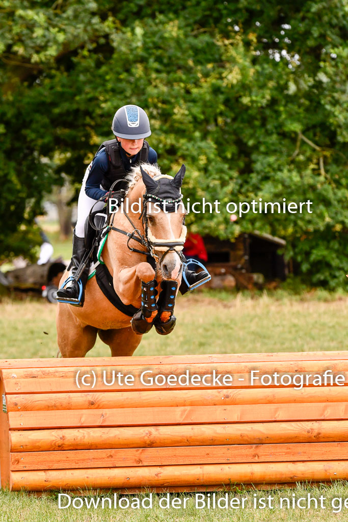 Goldene Schärpe Ponys in Hohenberg Krusemark 2024 | 13072024 Gelände 1 Abt_429 