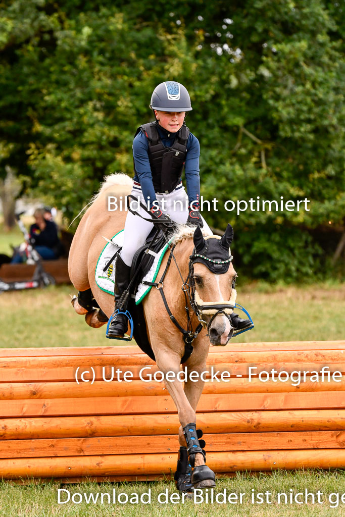 Goldene Schärpe Ponys in Hohenberg Krusemark 2024 | 13072024 Gelände 1 Abt_431 