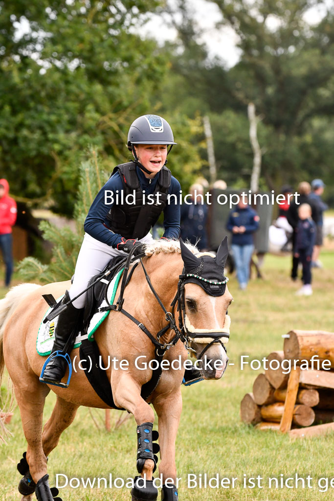 Goldene Schärpe Ponys in Hohenberg Krusemark 2024 | 13072024 Gelände 1 Abt_432 