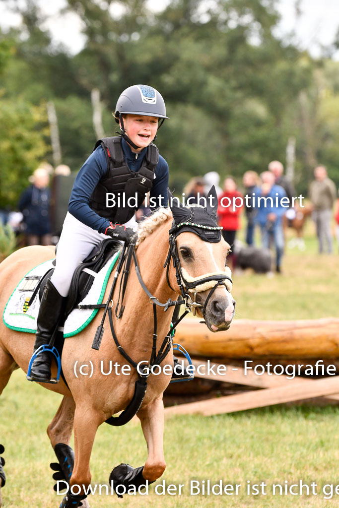 Goldene Schärpe Ponys in Hohenberg Krusemark 2024 | 13072024 Gelände 1 Abt_433