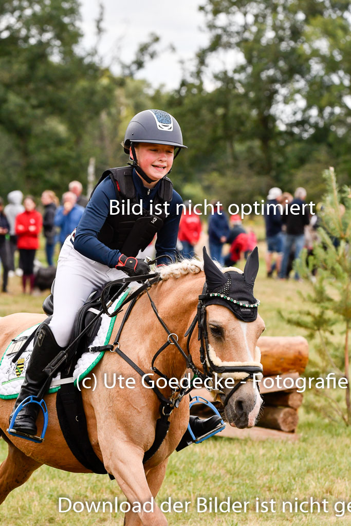 Goldene Schärpe Ponys in Hohenberg Krusemark 2024 | 13072024 Gelände 1 Abt_434 