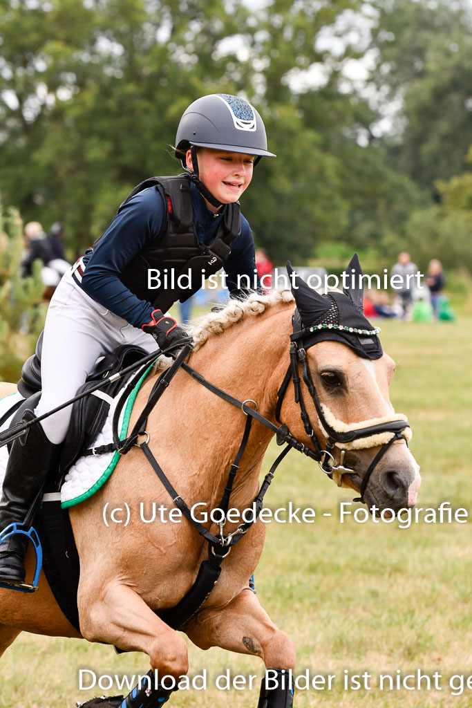 Goldene Schärpe Ponys in Hohenberg Krusemark 2024 | 13072024 Gelände 1 Abt_435 