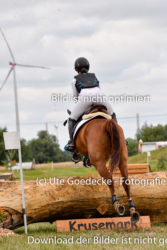 Goldene Schärpe Ponys in Hohenberg Krusemark 2024 | 13072024 Gelände 1 Abt_437 