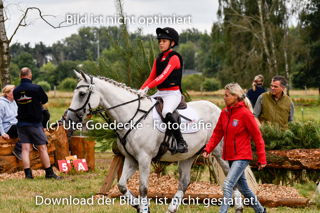 Goldene Schärpe Ponys in Hohenberg Krusemark 2024 | 13072024 Gelände 1 Abt_438 