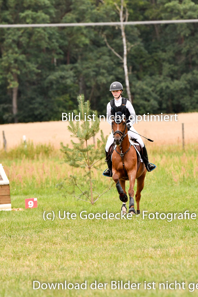 Goldene Schärpe Ponys in Hohenberg Krusemark 2024 | 13072024 Gelände 1 Abt_439 