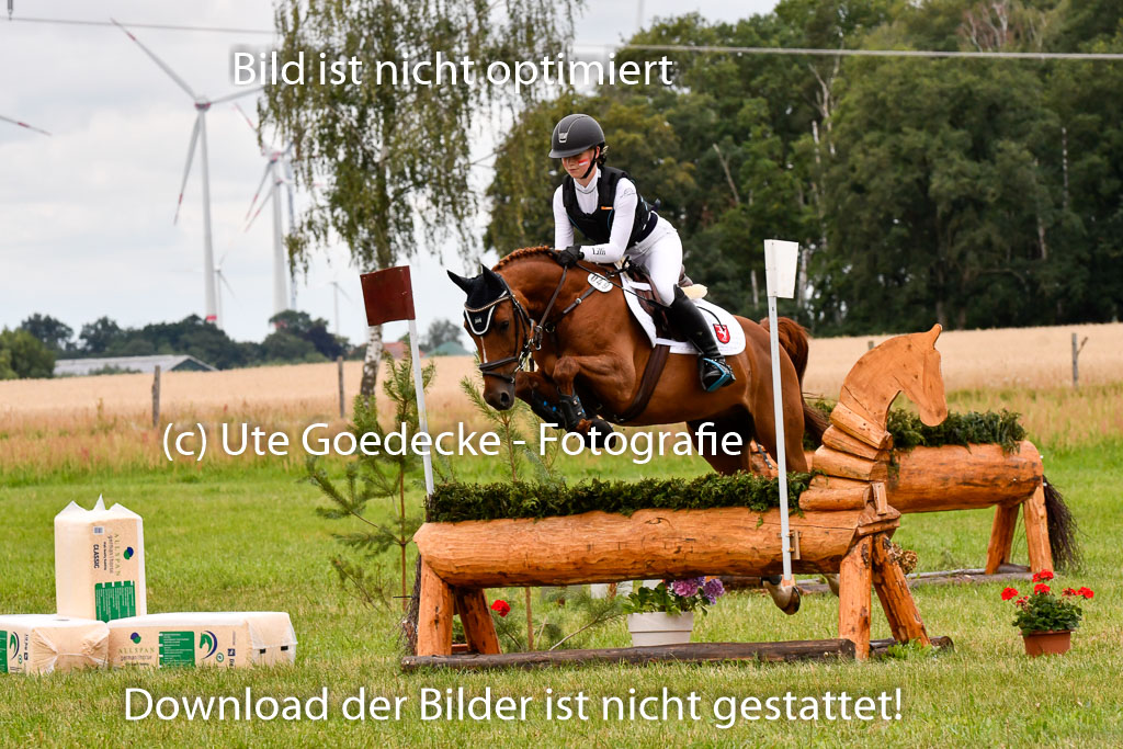 Goldene Schärpe Ponys in Hohenberg Krusemark 2024 | 13072024 Gelände 1 Abt_440 