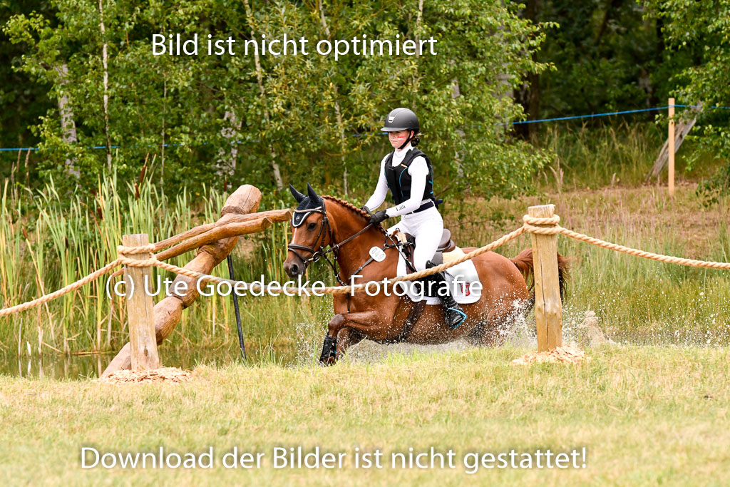 Goldene Schärpe Ponys in Hohenberg Krusemark 2024 | 13072024 Gelände 1 Abt_441 