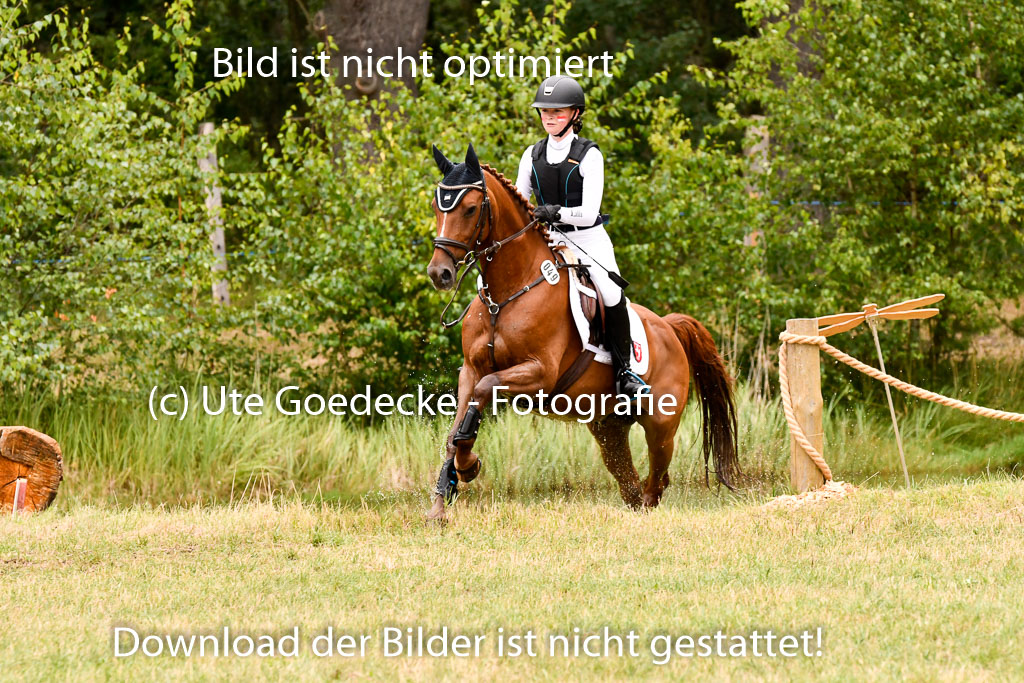 Goldene Schärpe Ponys in Hohenberg Krusemark 2024 | 13072024 Gelände 1 Abt_442 