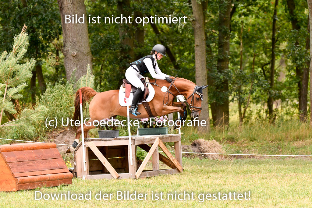 Goldene Schärpe Ponys in Hohenberg Krusemark 2024 | 13072024 Gelände 1 Abt_444 