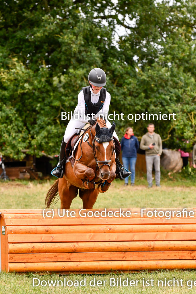 Goldene Schärpe Ponys in Hohenberg Krusemark 2024 | 13072024 Gelände 1 Abt_446 