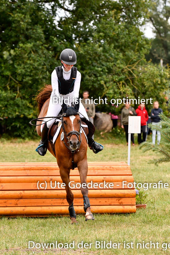 Goldene Schärpe Ponys in Hohenberg Krusemark 2024 | 13072024 Gelände 1 Abt_447 