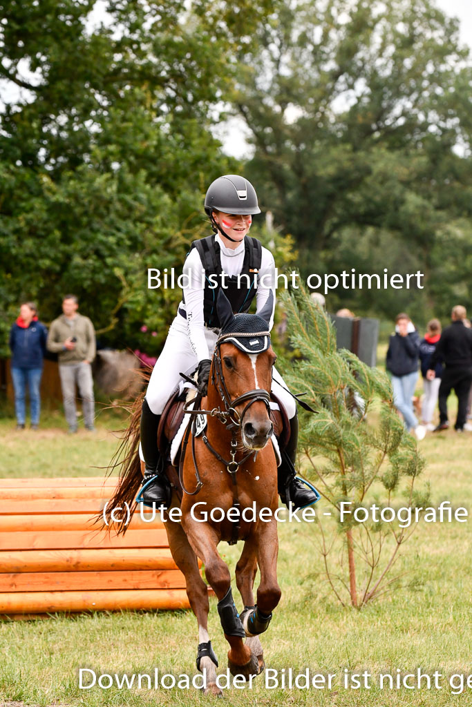 Goldene Schärpe Ponys in Hohenberg Krusemark 2024 | 13072024 Gelände 1 Abt_448