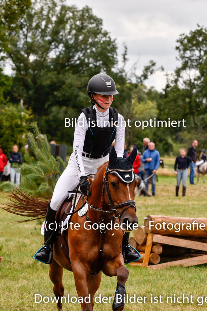 Goldene Schärpe Ponys in Hohenberg Krusemark 2024 | 13072024 Gelände 1 Abt_449 