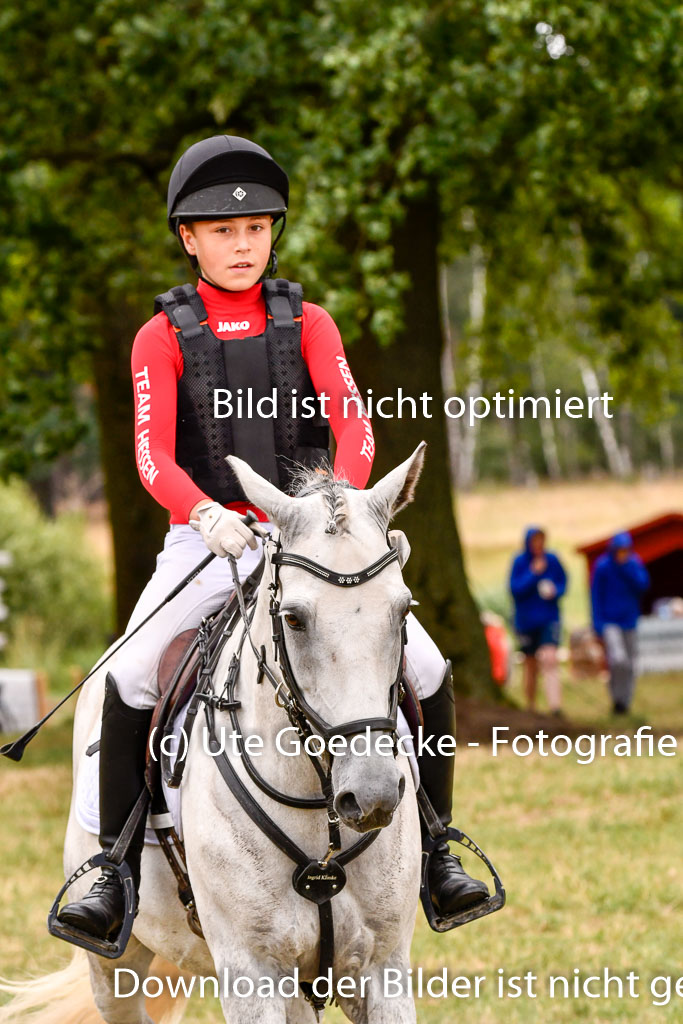 Goldene Schärpe Ponys in Hohenberg Krusemark 2024 | 13072024 Gelände 1 Abt_452 